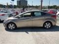 Desert Bronze - Elantra GLS Photo No. 4