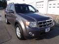 2011 Sterling Grey Metallic Ford Escape XLT  photo #3