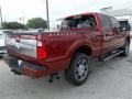 2013 Ruby Red Metallic Ford F250 Super Duty Platinum Crew Cab 4x4  photo #5