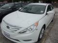 Shimmering White - Sonata GLS Photo No. 1