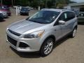 2014 Ingot Silver Ford Escape Titanium 2.0L EcoBoost 4WD  photo #4