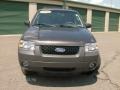 2006 Dark Stone Metallic Ford Escape XLT 4WD  photo #2