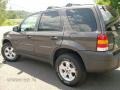 2006 Dark Stone Metallic Ford Escape XLT 4WD  photo #5