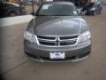 Tungsten Metallic - Avenger SE Photo No. 1