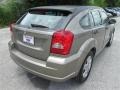 Light Khaki Metallic - Caliber SXT Photo No. 5