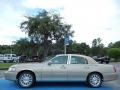 Light French Silk Metallic - Town Car Signature Photo No. 2