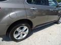 Mocha Steel Metallic - Equinox LTZ Photo No. 42