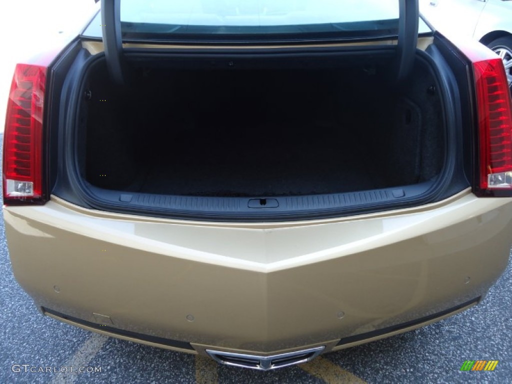 2013 CTS Coupe - Summer Gold Metallic / Cashmere/Ebony photo #20