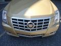 2013 Summer Gold Metallic Cadillac CTS Coupe  photo #42