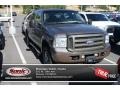 2005 Mineral Grey Metallic Ford Excursion Limited 4X4 #83483819