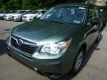 Jasmin Green Metallic - Forester 2.5i Photo No. 10