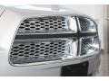 Bright Silver Metallic - Charger SE Photo No. 10