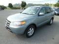 2007 Steel Gray Hyundai Santa Fe GLS 4WD  photo #3