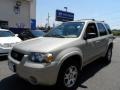 Gold Ash Metallic - Escape Limited 4WD Photo No. 1