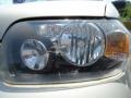 Gold Ash Metallic - Escape Limited 4WD Photo No. 31