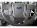 2009 Brilliant Silver Metallic Ford F150 XLT SuperCrew  photo #6