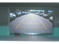 Polished Metal Metallic - Odyssey EX-L Photo No. 15