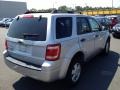 Brilliant Silver Metallic - Escape XLT V6 Photo No. 3