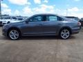 Platinum Gray Metallic - Passat TDI SEL Photo No. 5