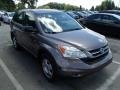 2010 Urban Titanium Metallic Honda CR-V LX AWD  photo #1