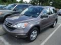 2010 Urban Titanium Metallic Honda CR-V LX AWD  photo #3