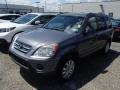 Pewter Pearl - CR-V Special Edition 4WD Photo No. 3