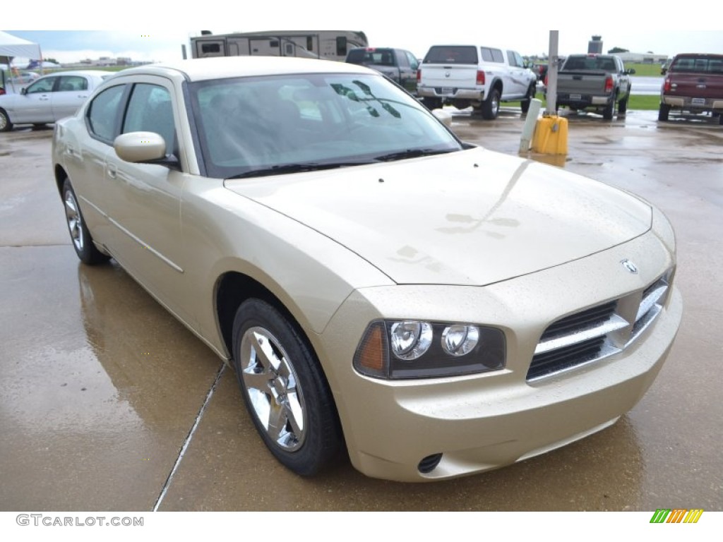 2010 Charger SE - White Gold Pearl / Dark Slate Gray photo #8