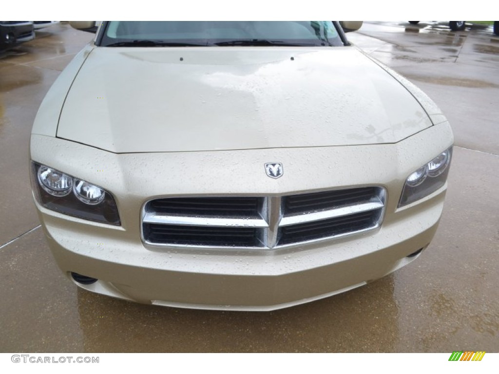 2010 Charger SE - White Gold Pearl / Dark Slate Gray photo #9