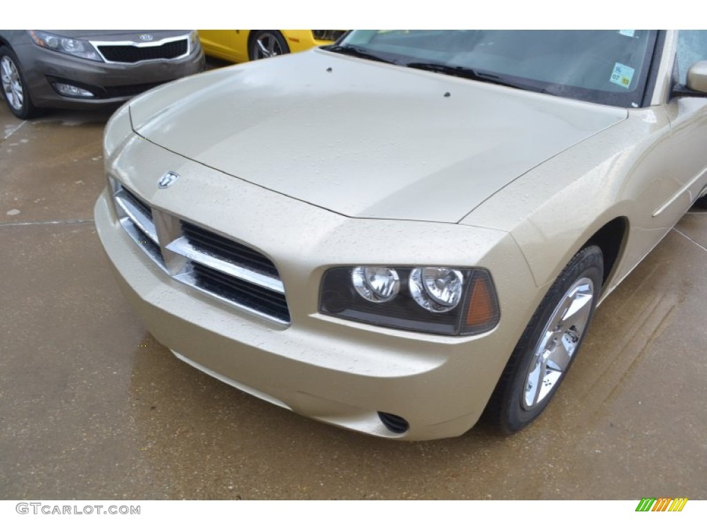 2010 Charger SE - White Gold Pearl / Dark Slate Gray photo #10