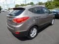 2010 Chai Bronze Hyundai Tucson GLS  photo #7