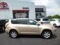 2010 Sandy Beach Metallic Toyota RAV4 Limited 4WD  photo #7