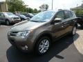 Pyrite Mica 2013 Toyota RAV4 Limited AWD Exterior
