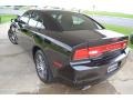 Pitch Black - Charger Police Photo No. 3