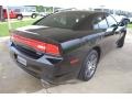 Pitch Black - Charger Police Photo No. 5