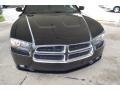 Pitch Black - Charger Police Photo No. 9