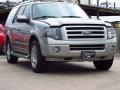 Vapor Silver Metallic 2009 Ford Expedition Limited