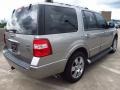 2009 Vapor Silver Metallic Ford Expedition Limited  photo #2