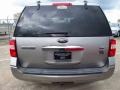 2009 Vapor Silver Metallic Ford Expedition Limited  photo #3