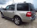 2009 Vapor Silver Metallic Ford Expedition Limited  photo #9