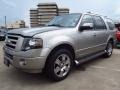 2009 Vapor Silver Metallic Ford Expedition Limited  photo #10