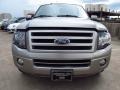 2009 Vapor Silver Metallic Ford Expedition Limited  photo #11