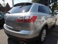 2010 Liquid Silver Metallic Mazda CX-9 Touring AWD  photo #6