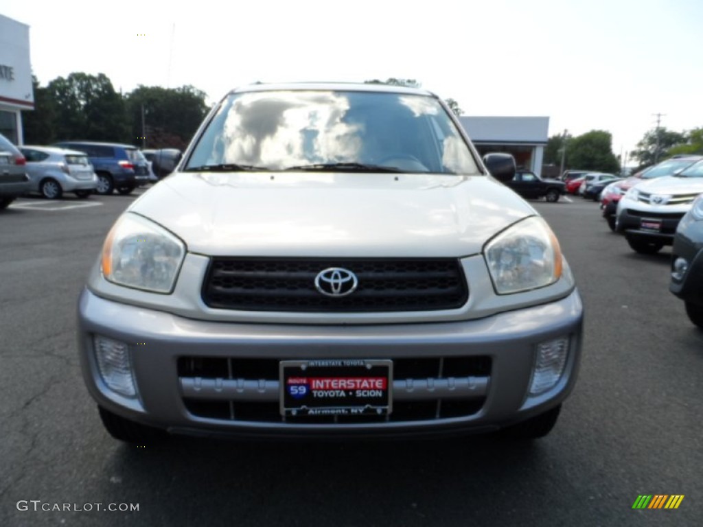 2003 RAV4  - Vintage Gold / Gray photo #2