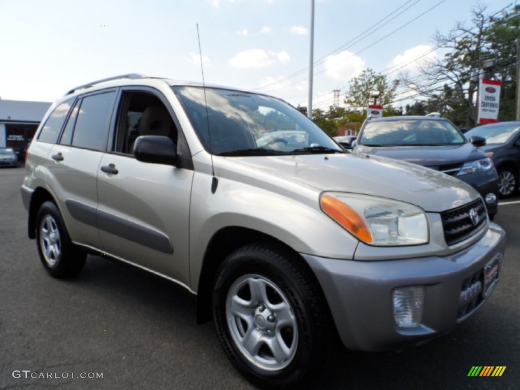 2003 RAV4  - Vintage Gold / Gray photo #3