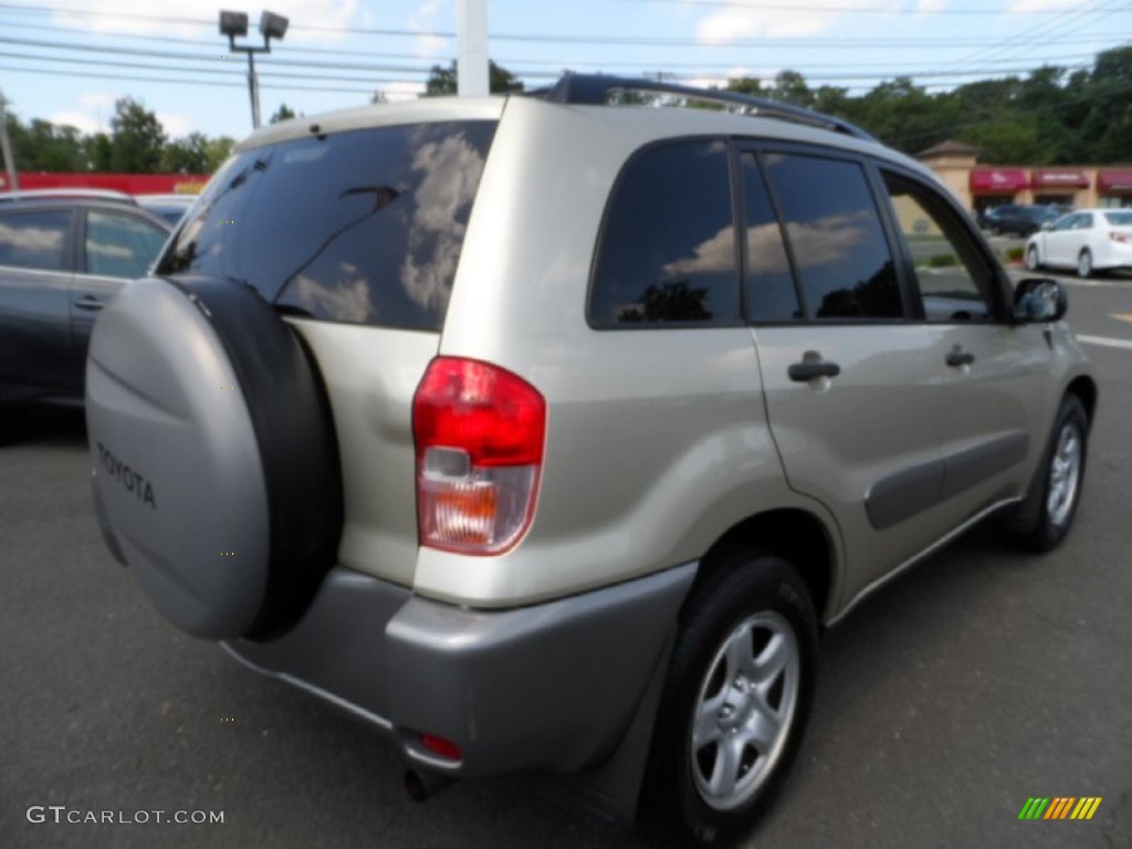 2003 RAV4  - Vintage Gold / Gray photo #4