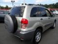 2003 Vintage Gold Toyota RAV4   photo #4