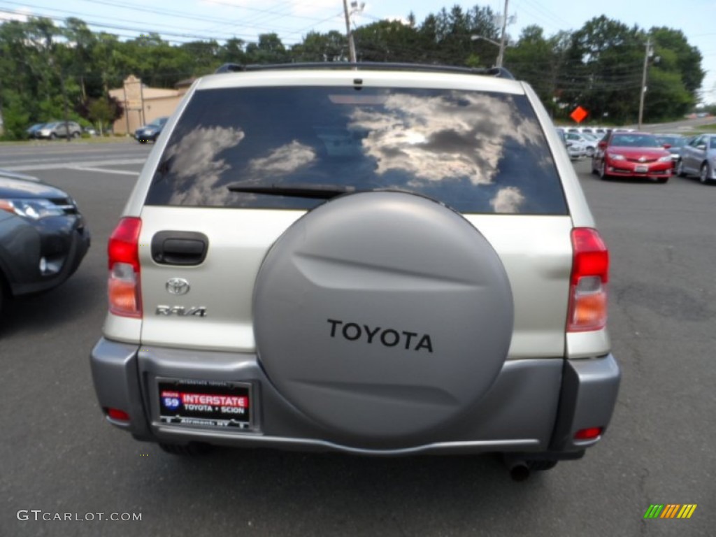 2003 RAV4  - Vintage Gold / Gray photo #5