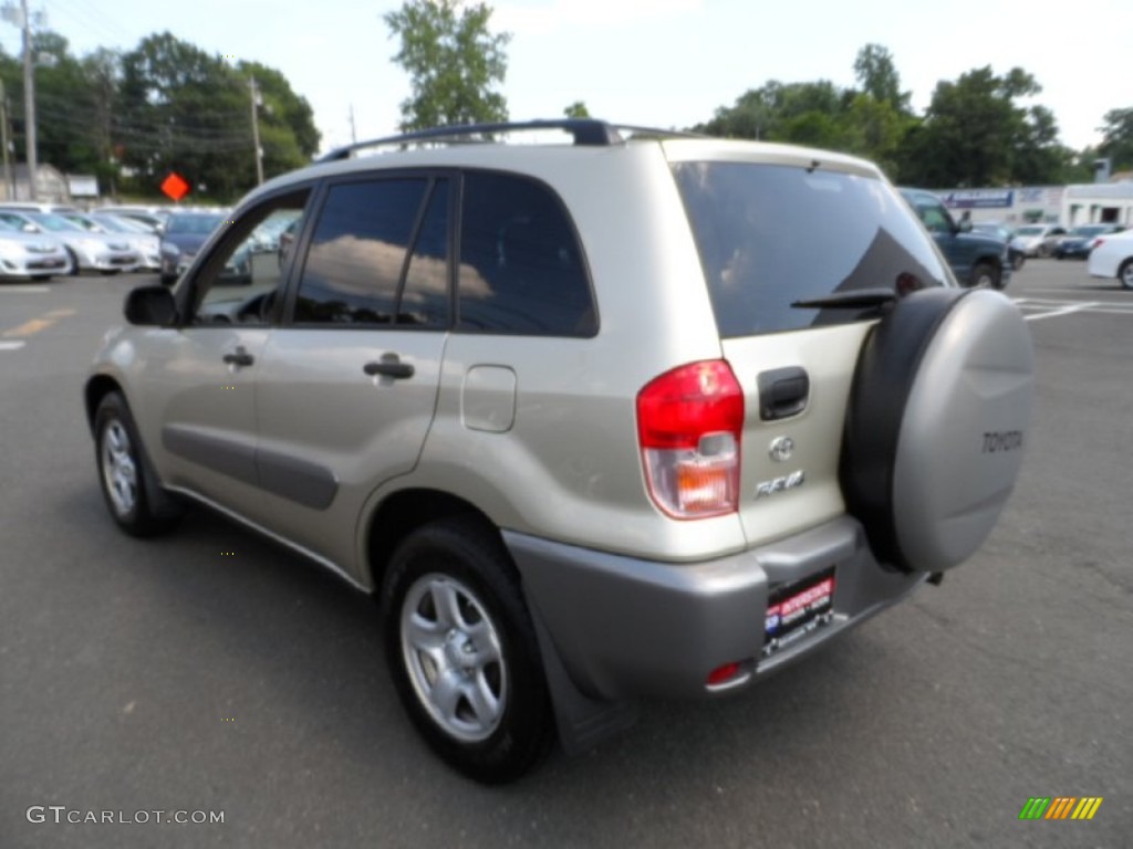 2003 RAV4  - Vintage Gold / Gray photo #6