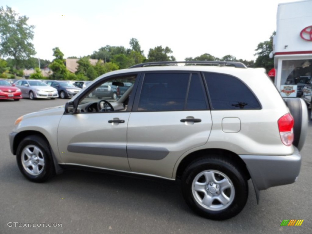 2003 RAV4  - Vintage Gold / Gray photo #7