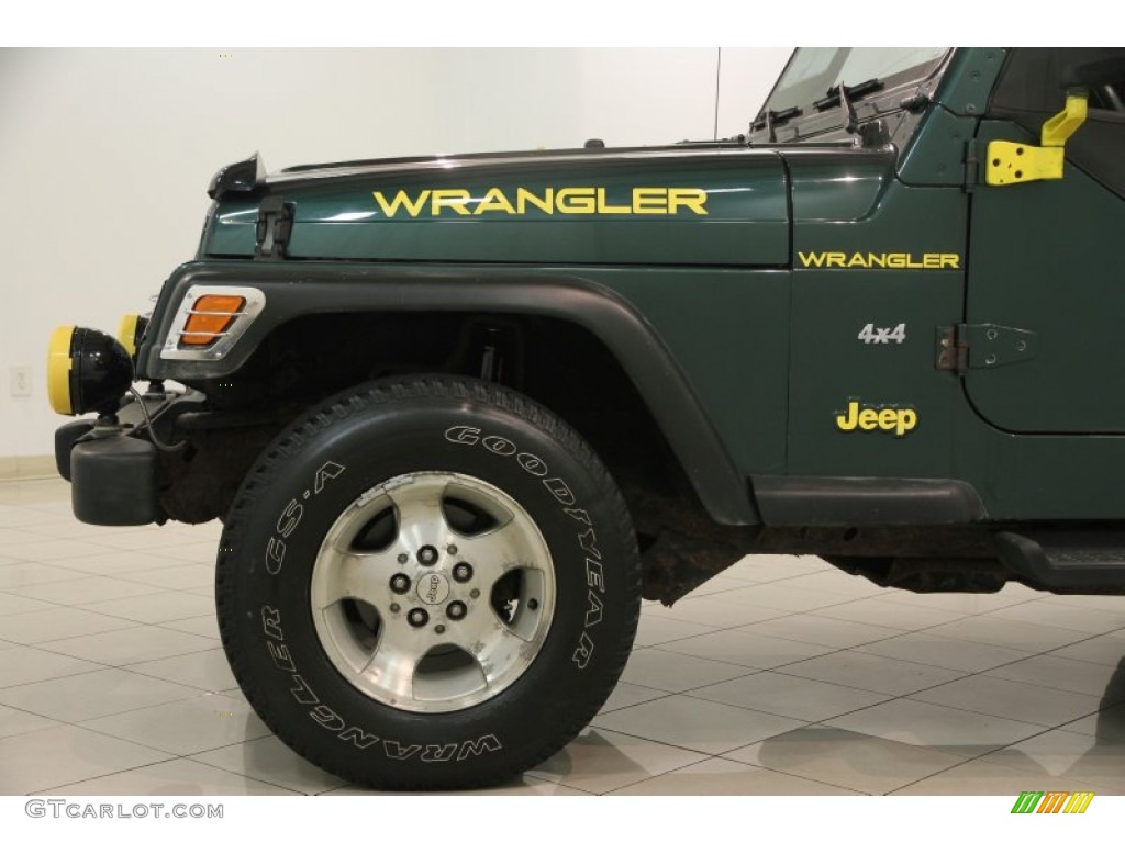 2001 Wrangler SE 4x4 - Forest Green / Agate Black photo #17